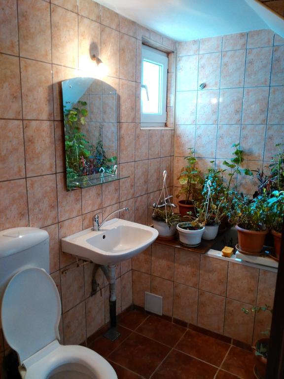 Vila Marcela Buşteni Camera foto