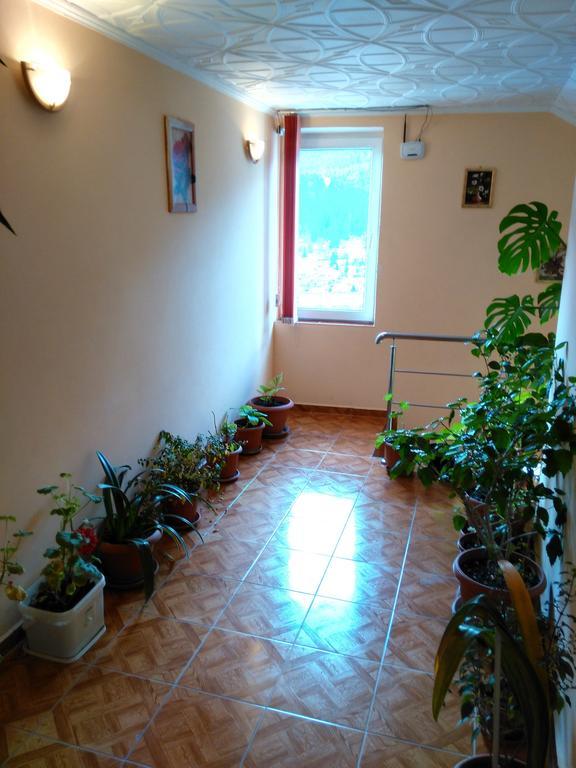 Vila Marcela Buşteni Camera foto
