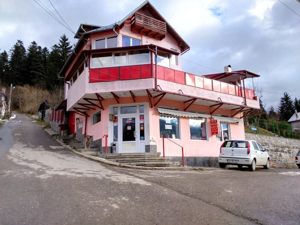 Vila Marcela Buşteni Esterno foto